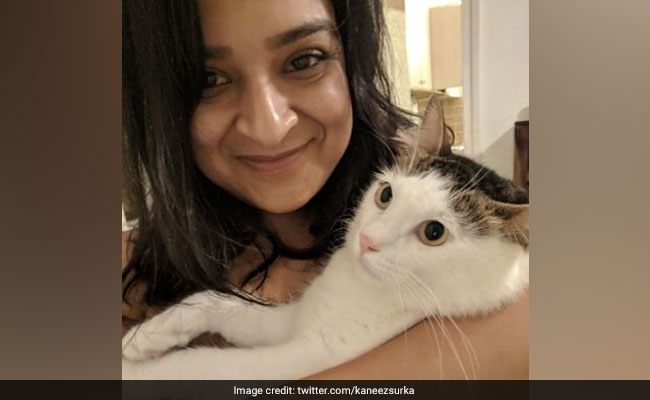 "Kaneez, I Am Sorry": Comic Aditi Mittal After Being Named In #MeToo