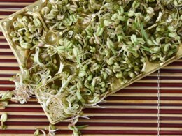 13 Best Sprouts Recipes: From Salads To Jalfrezi And More
