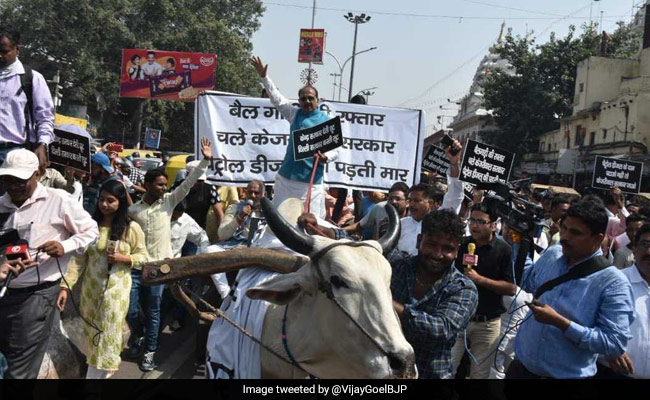 With Bullock Cart Ride, Minister Confronts Arvind Kejriwal On Fuel Price