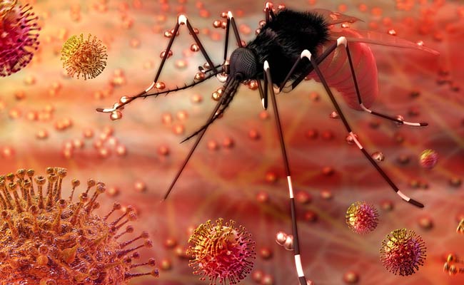 10 Facts You Need To Know About Zika Virus In India