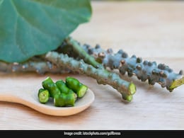 Suffering From Chronic Fever? This Ayurvedic Herb Could Be Of Great Help Suffering From Chronic Fever? This Ayurvedic Herb Could Be Of Great Help