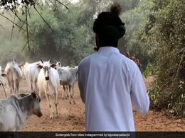 लालू प्रसाद के बड़े बेटे तेज प्रताप यादव ने ट्वीट में दोहा लिख फिर दिया पत्नी ऐश्वर्या राय को टेंशन लालू प्रसाद के बड़े बेटे तेज प्रताप यादव ने ट्वीट में दोहा लिख फिर दिया पत्नी ऐश्वर्या राय को टेंशन