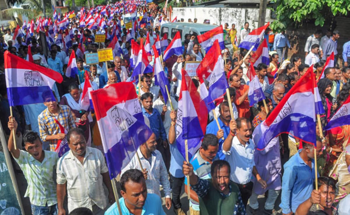 The Art of Baking: From Classic Bread to Artisan Pastries