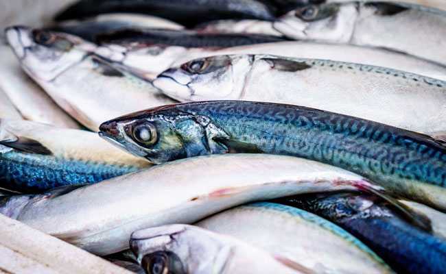 China Bridge Construction Kills 6,000 Rare Fish, Work Stopped: Report