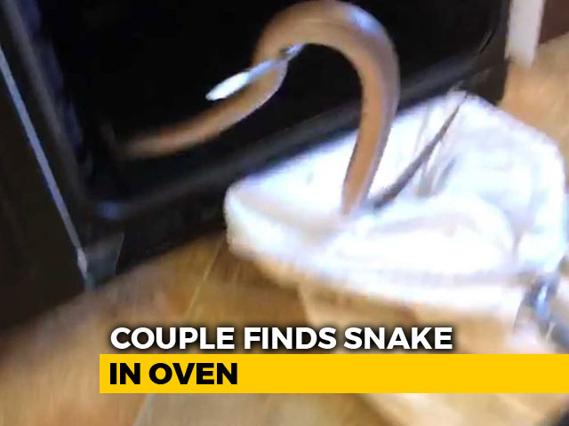 Couple Opens Oven To Cook Chips, Finds 3-Foot Snake Inside