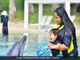 When Arpita Khan Sharma Tried 'Breaking The Ice' Between Ahil And A Dolphin In Dubai When Arpita Khan Sharma Tried 'Breaking The Ice' Between Ahil And A Dolphin In Dubai