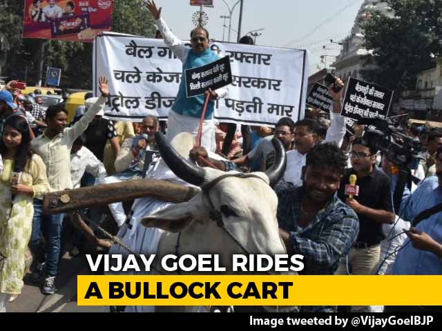 With Bullock Cart Ride, Minister Confronts Arvind Kejriwal On Fuel Price