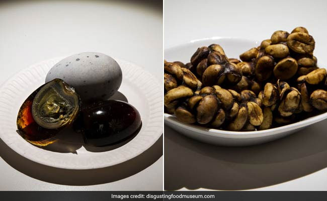 Sample Maggot Cheese, Rotten Shark At World's First Disgusting Food Museum