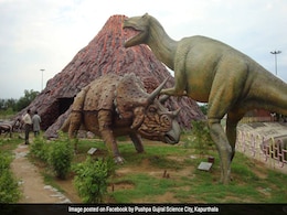 India's First Robotic Dinosaurs Gallery Inaugurated In Kapurthala India's First Robotic Dinosaurs Gallery Inaugurated In Kapurthala