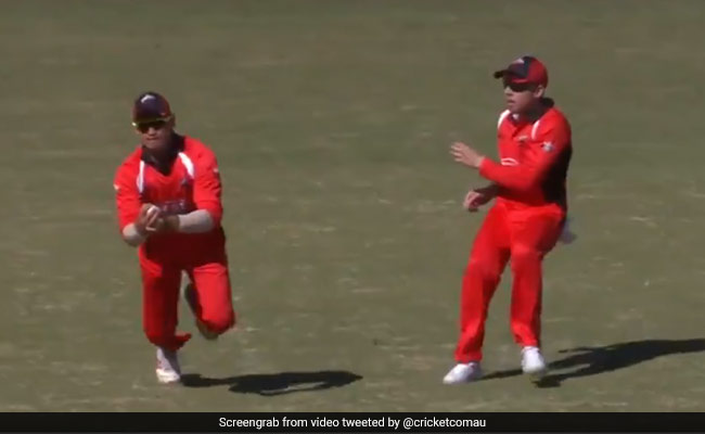 फील्डर ने पकड़ा ऐसा कैच बल्लेबाज भी देखकर हो गया हैरान, वायरल हुआ VIDEO