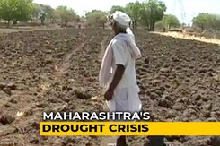 "No Water To Drink": Nearly Half Of Maharashtra Declared Drought-Hit "No Water To Drink": Nearly Half Of Maharashtra Declared Drought-Hit