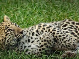 बंदूक के पहरे में शौच! उत्तराखंड के गांववाले की खौफनाक आपबीती हिला देगी