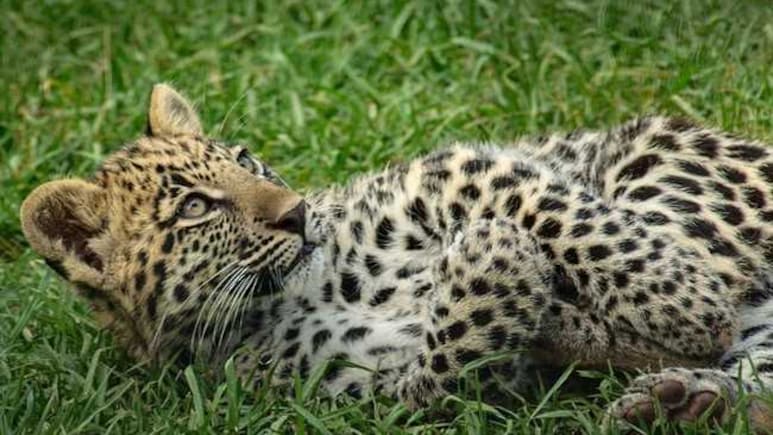 बंदूक के पहरे में शौच! उत्तराखंड के गांववाले की खौफनाक आपबीती हिला देगी