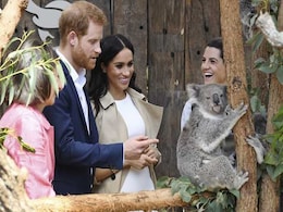 Prince Harry, Pregnant Meghan Make First Public Outing Down Under Britain Prince Harry, Pregnant Meghan Make First Public Outing Down Under Britain