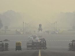 "Can't Tolerate Garbage Burning": Top Court Panel On Delhi Pollution "Can't Tolerate Garbage Burning": Top Court Panel On Delhi Pollution