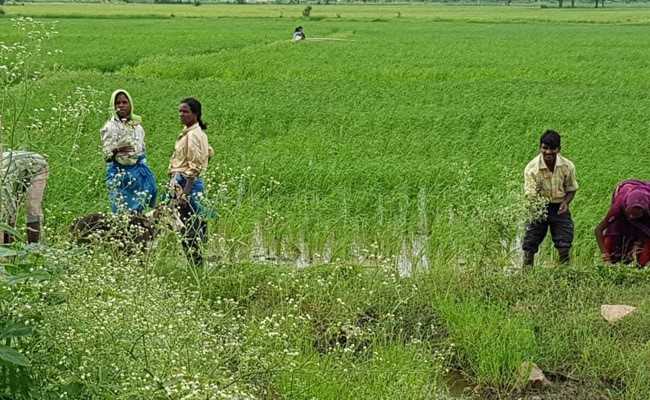 In 180-Degree On Notes Ban, Agriculture Ministry Cites "Mistake": Sources