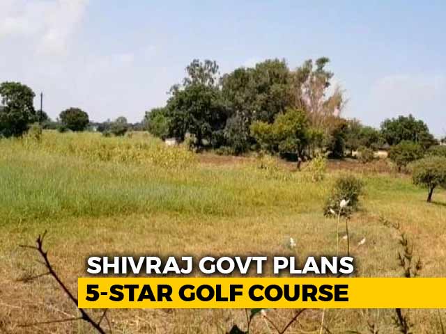 Golf Course On Cow Grazing Land In Bhopal? Congress Calls BJP Hypocrite