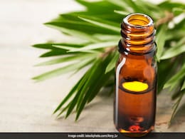 Skincare Tips: Fight Acne, Dry Skin, Itchy Skin And Much More With Tea Tree Oil Skincare Tips: Fight Acne, Dry Skin, Itchy Skin And Much More With Tea Tree Oil