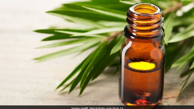 Skincare Tips: Tea tree oil can help you fight various skin issues
