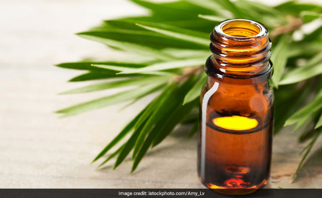 Skincare Tips: Tea tree oil can help you fight various skin issues