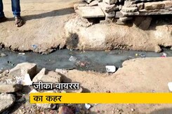 जीका वायरस पसार रहा पैर जीका वायरस पसार रहा पैर