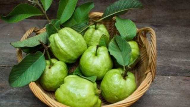 Guava can help in controlling blood sugar levels