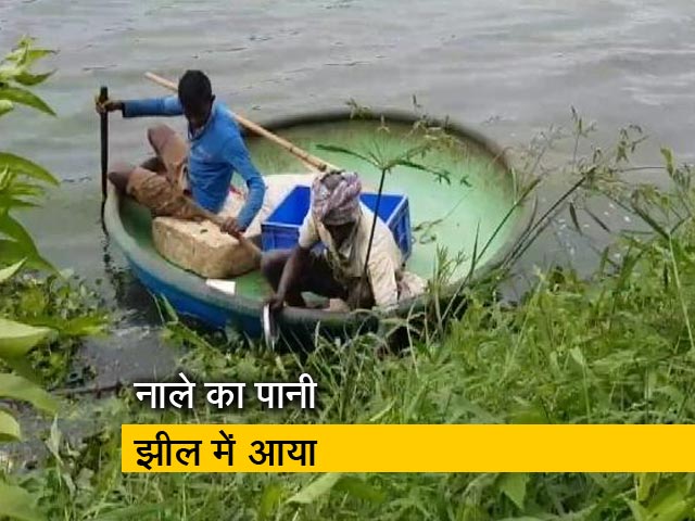 बेंगलुरु : मडीवाला झील भी प्रदूषण की भेंट चढ़ी