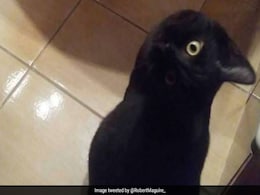 This Spooky Optical Illusion Came Just In Time For Halloween This Spooky Optical Illusion Came Just In Time For Halloween