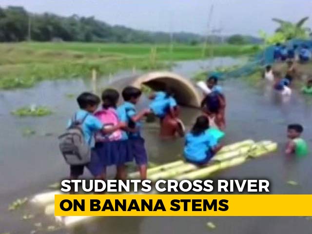 No Bridge, Assam Students Cross River On Banana Stems To Reach School