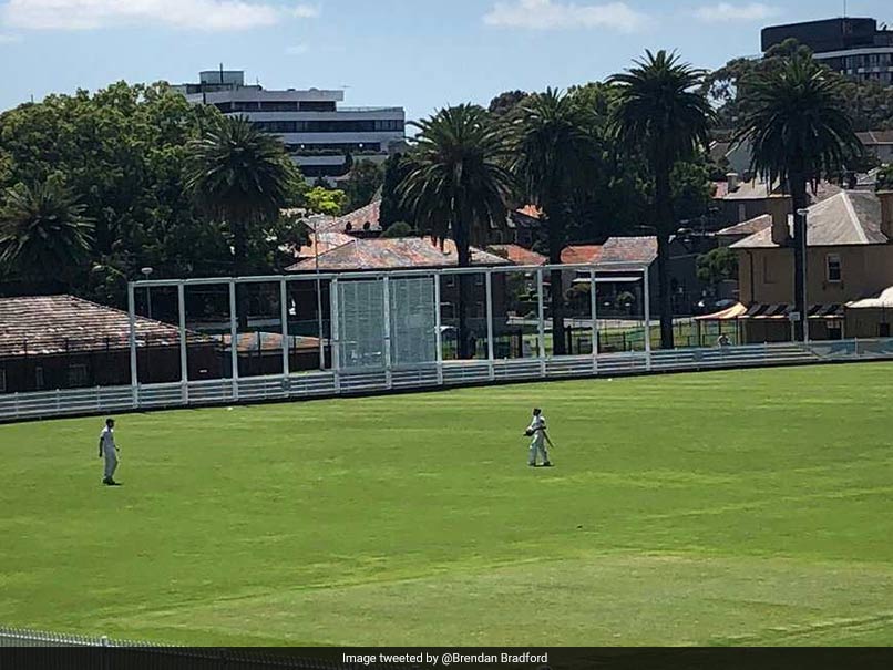 David Warner Walks Off Mid-Innings After Sledge During Sydney Grade Game, Say Reports