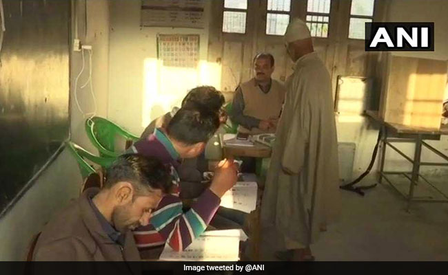 Jammu And Kashmir Urban Local Body Polls Highlights: Jammu Registers 80% Of Voter Turnout