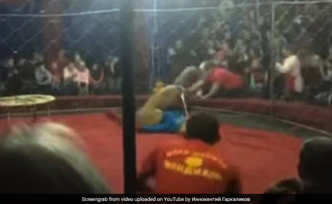 Caught On Video: Lion Slashes Girl's Face At Circus In Russia