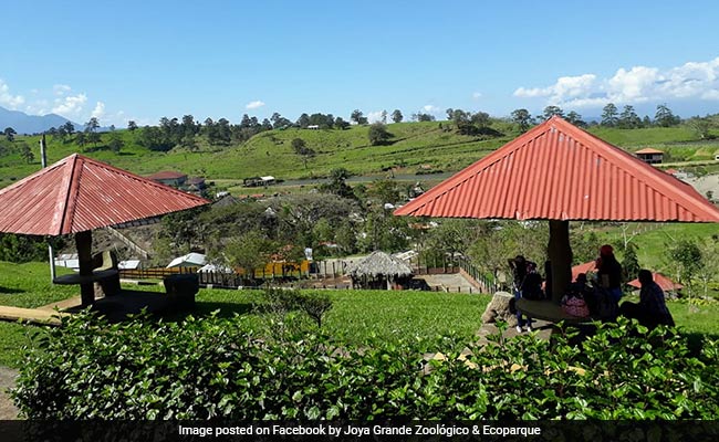 Zoo Inspired By Pablo Escobar's Estate Languishes As Drug Money Dries Up