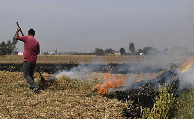 India Tops Globally In Crop Burning Related Emissions: Report