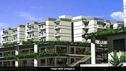 Ex-Amrapali Group Director Gets Bail In 4 Cases Filed By Homebuyers