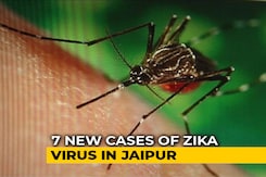 22 Test Positive For Zika In Jaipur, Bihar On Alert, PM Modi Seeks Report 22 Test Positive For Zika In Jaipur, Bihar On Alert, PM Modi Seeks Report