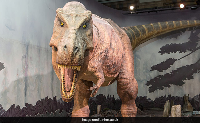 How Do You Make A Predatory Dinosaur Relatable? Show It As A Parent