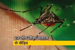 जयपुर में जीका वायरस का खतरा जयपुर में जीका वायरस का खतरा