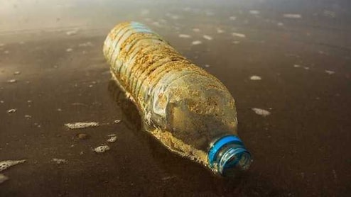 High Levels Of Salt In Delhi Groundwater: 4 Ways Water Pollution Impacts Your Health