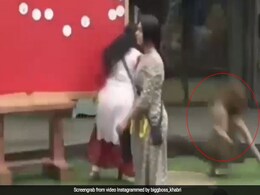 Bigg Boss 12: बिग बॉस में श्रृष्टि का बुरा हाल, पहले सुरभी ने बाल खींचा; अब सबा खान ने दिया धक्का- देखें Video Bigg Boss 12: बिग बॉस में श्रृष्टि का बुरा हाल, पहले सुरभी ने बाल खींचा; अब सबा खान ने दिया धक्का- देखें Video