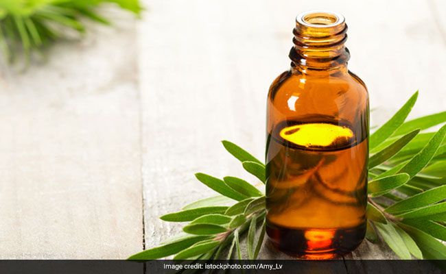 Haircare tips: Regular oiling can help control hair fall