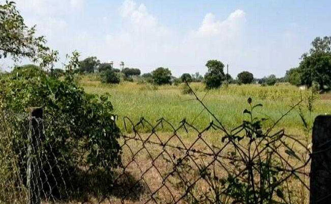 मध्‍य प्रदेश में गायों की चारागाह की जमीन पर पांच सितारा गोल्‍फकोर्स बनाने की तैयारी