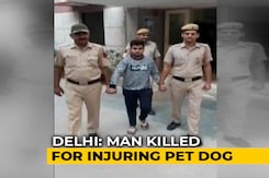Teen Arrested For Stabbing Man After Tempo Brushes Past Pet Dog In Delhi Teen Arrested For Stabbing Man After Tempo Brushes Past Pet Dog In Delhi