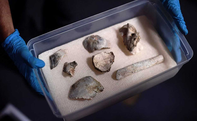 12,000-Year-Old Human Fossil Fragments Recovered From Burnt Brazil Museum