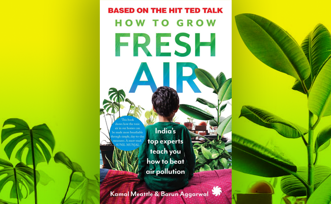 The Top 4 Air Purifiers, Depending On Your Budget