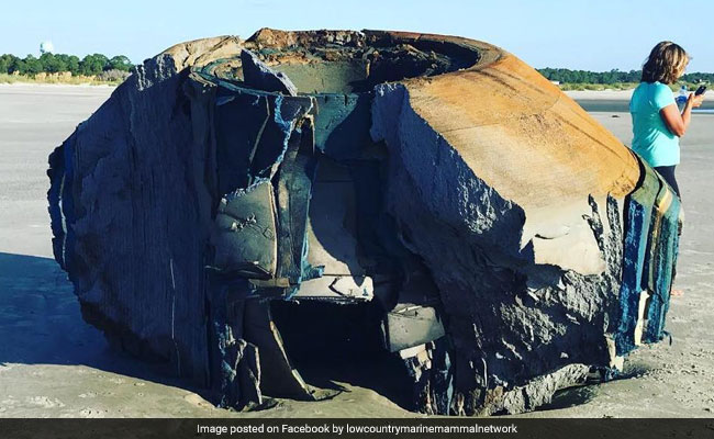 Mysterious Object Washes Up On Beach And Nobody Knows What It Is