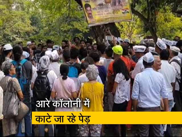 मुंबई में हजारों पेड़ों को बचाने की मुहिम