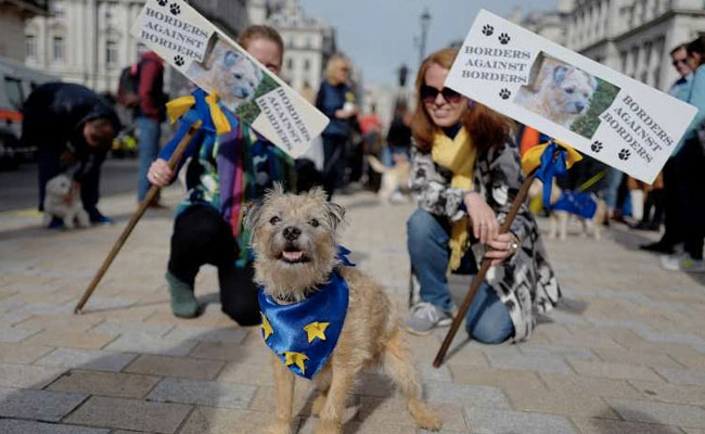 Hundreds Of Dogs Hound Theresa May For "Wooferendum" On Brexit