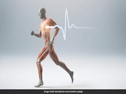 World Osteoporosis Day 2020: खराब डाइट है कमजोर हड्डियों का कारण, मजबूती के लिए इन 6 जरूरी पोषक तत्वों का करें सेवन! World Osteoporosis Day 2020: खराब डाइट है कमजोर हड्डियों का कारण, मजबूती के लिए इन 6 जरूरी पोषक तत्वों का करें सेवन!