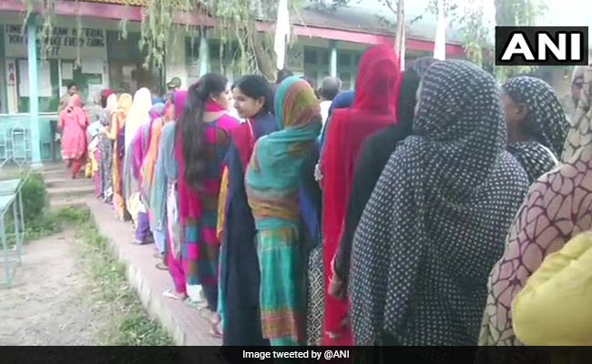 Municipal Polls Highlights: BJP Wins In Jammu, Loses In Other Districts